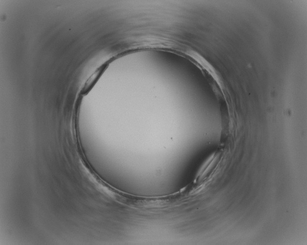 X0000074211293200609151547