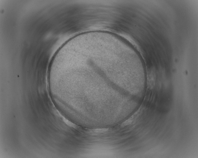 X0000074211294200609151547