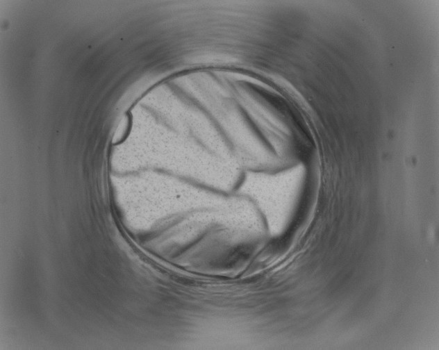 X0000074211295200609151547