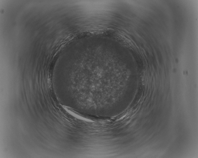 X0000074211298200609151546