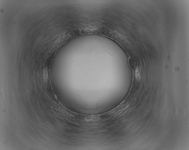 X0000074211299200609151546