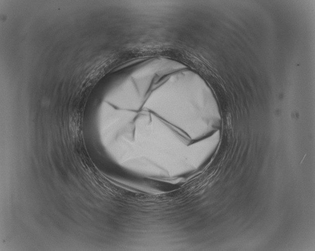 X0000074211300200609151546