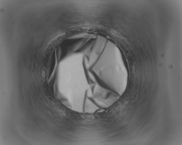 X0000074211302200609151546