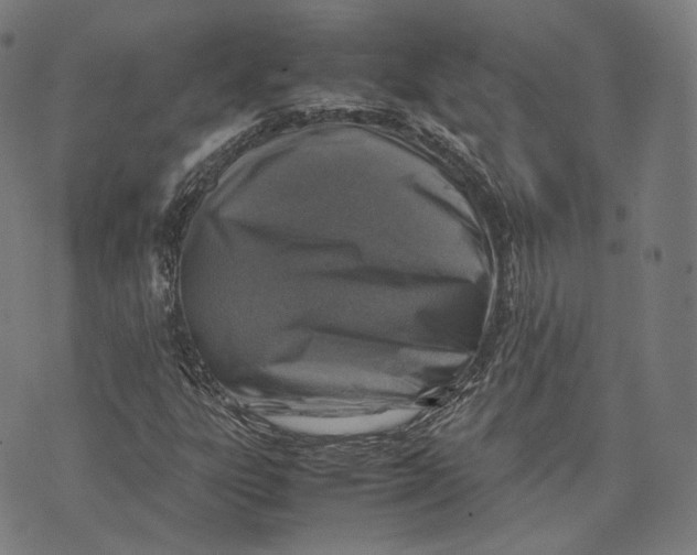 X0000074211303200609151546