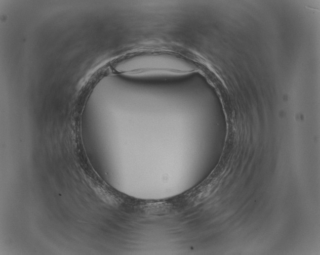 X0000074211304200609151546