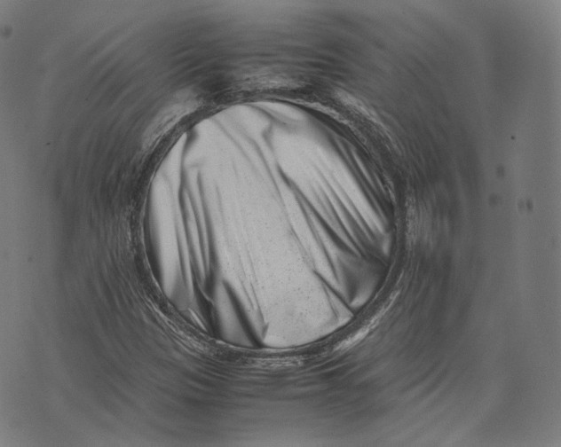 X0000074211305200609151546