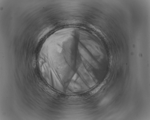 X0000074211306200609151546