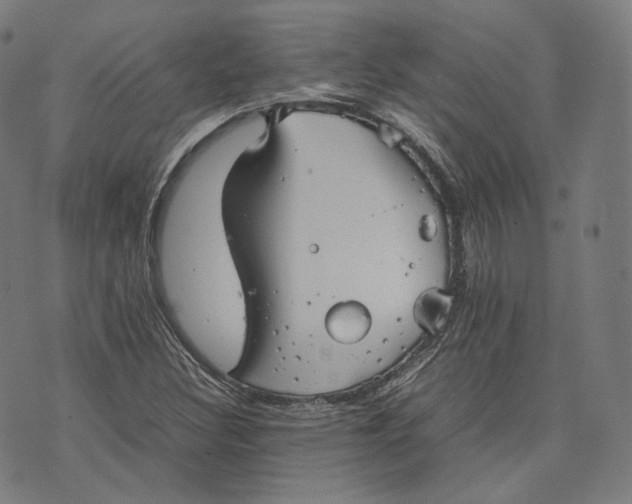 X0000074211308200609151546