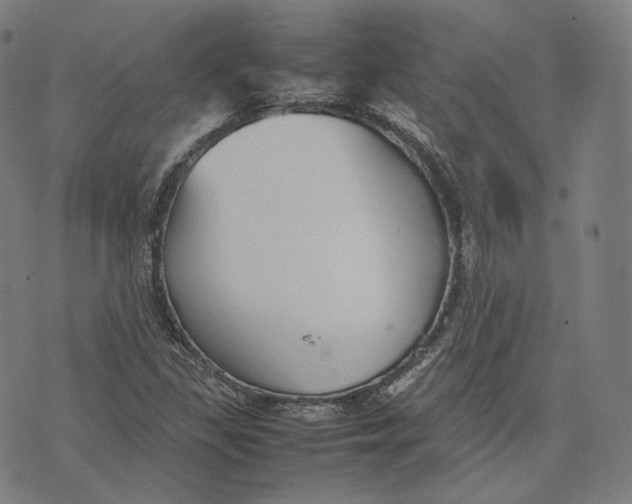 X0000074211309200609151546