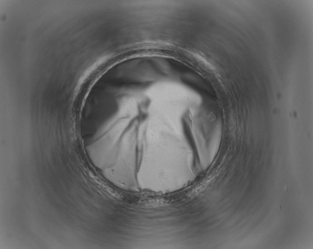 X0000074211310200609151546