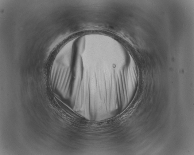 X0000074211311200609151546