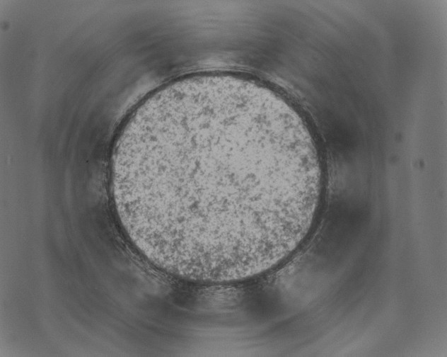 X0000074211314200609151546