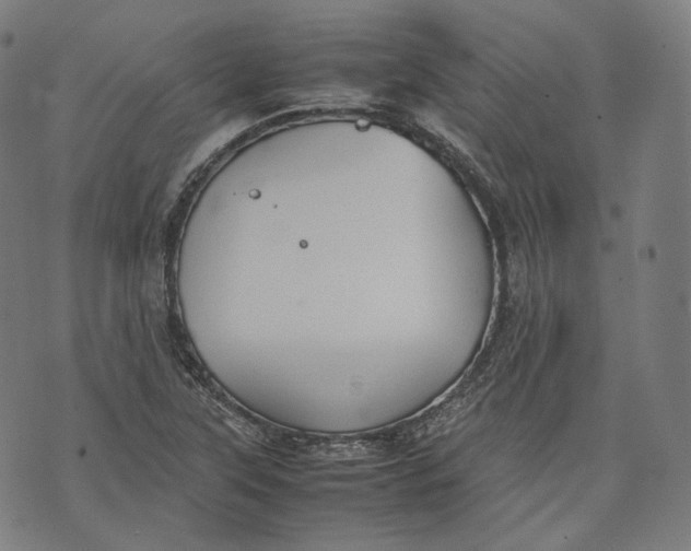 X0000074211315200609151546