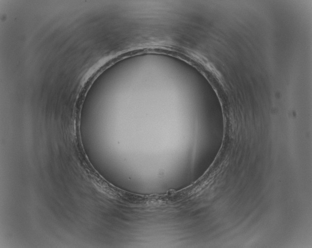 X0000074211316200609151546