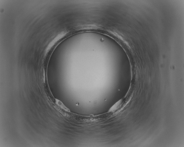 X0000074211317200609151546