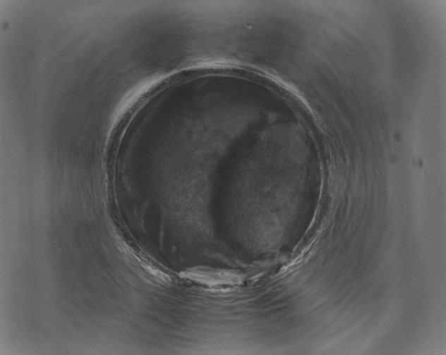 X0000074211319200609151546