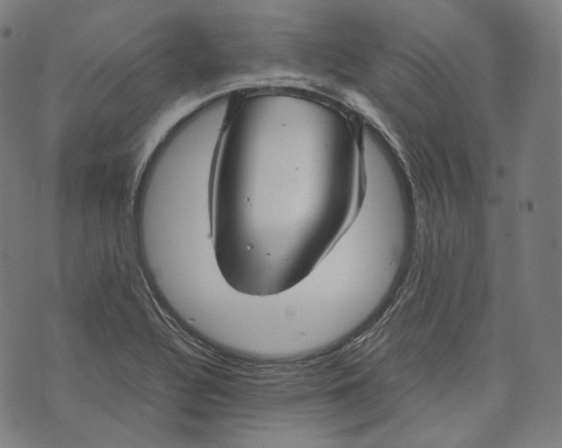 X0000074211320200609151546