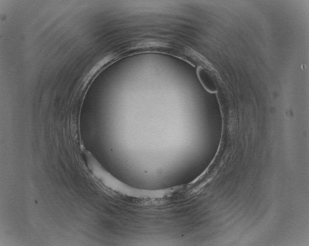 X0000074211321200609151546