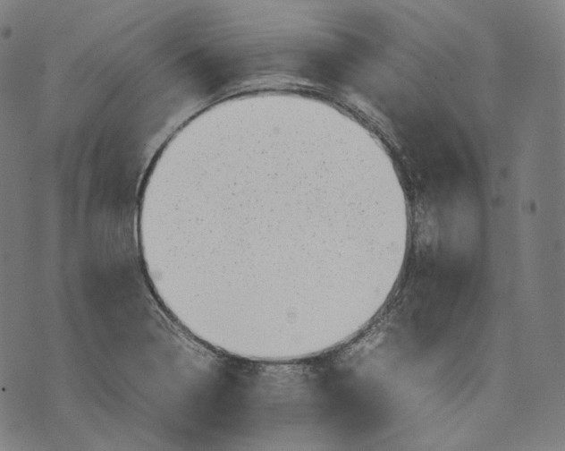 X0000074211322200609151546