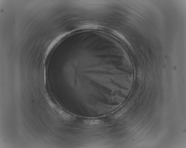 X0000074211323200609151546