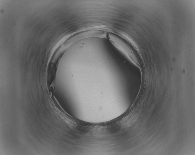 X0000074211324200609151546