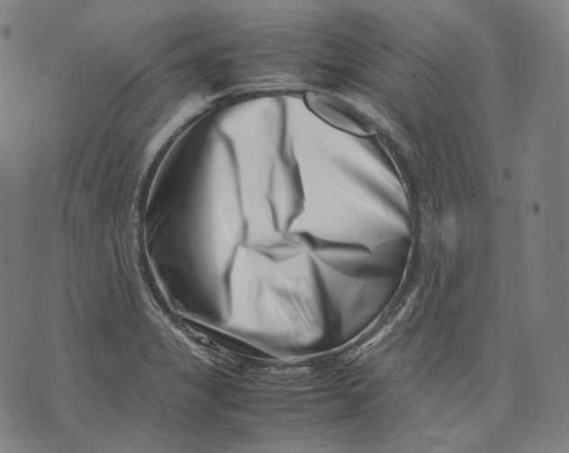 X0000074211325200609151546