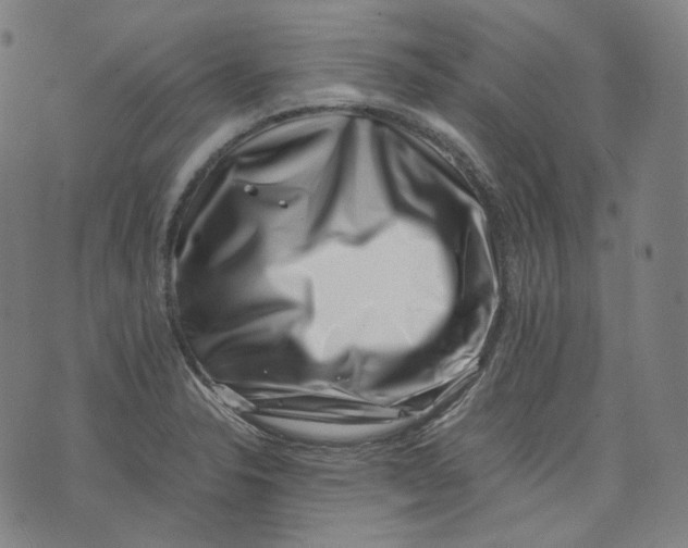 X0000074211326200609151546