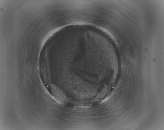 X0000074211327200609151546