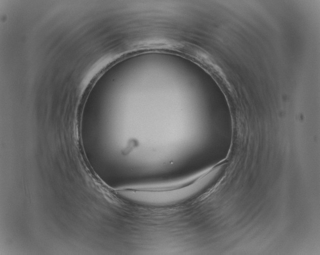 X0000074211328200609151546