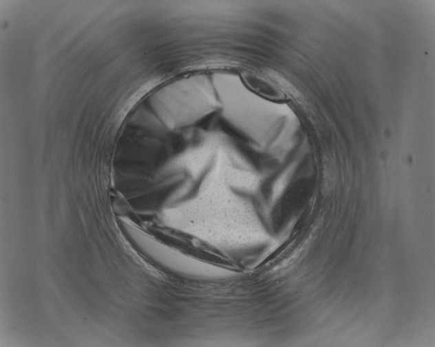 X0000074211329200609151546