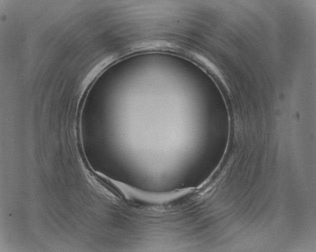 X0000074211330200609151546