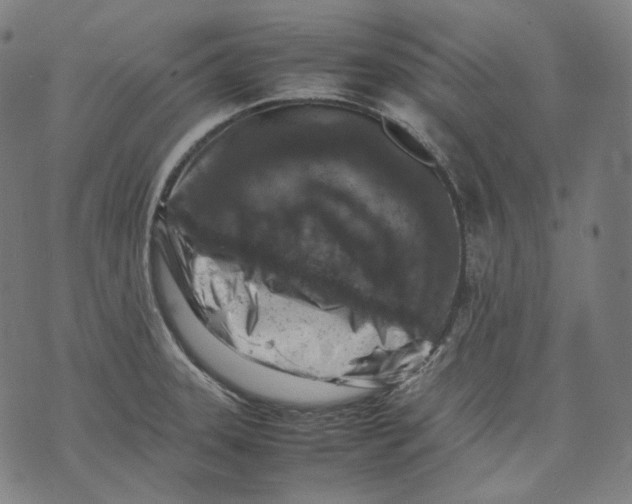 X0000074211331200609151546