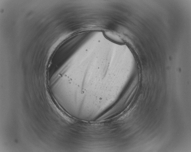 X0000074211333200609151546