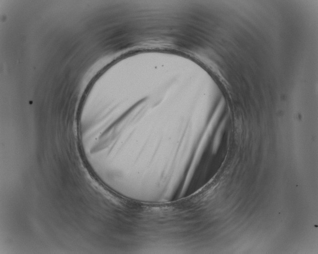 X0000074211335200609151546