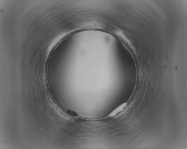 X0000074211336200609151547