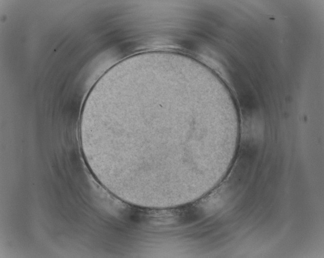 X0000074211338200609151547