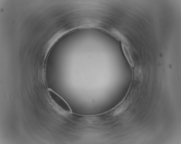 X0000074211340200609151547