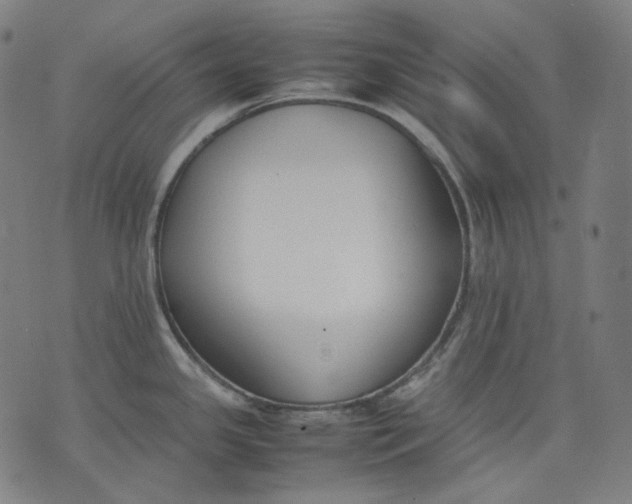 X0000074211341200609151547