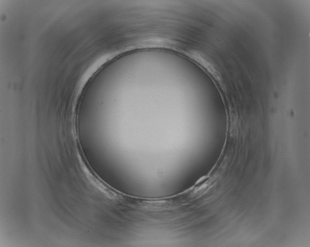 X0000074211342200609151547