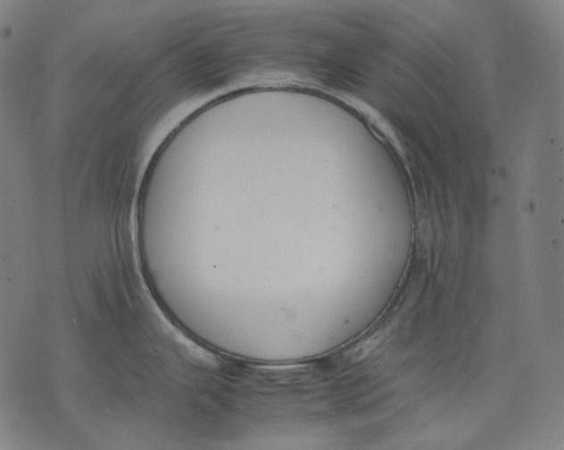 X0000074211343200609151547