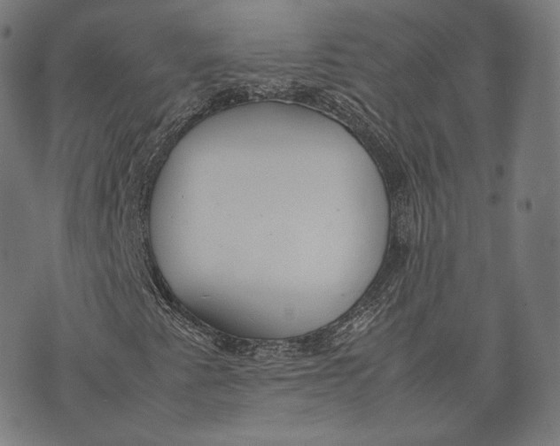 X0000074211345200609151546