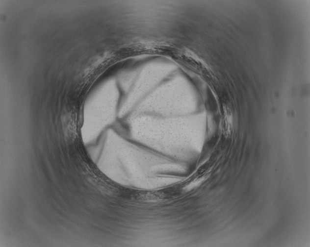 X0000074211348200609151546