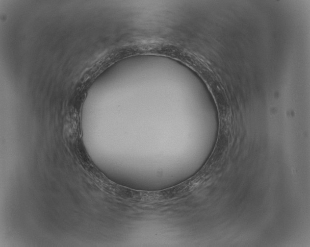 X0000074211349200609151546