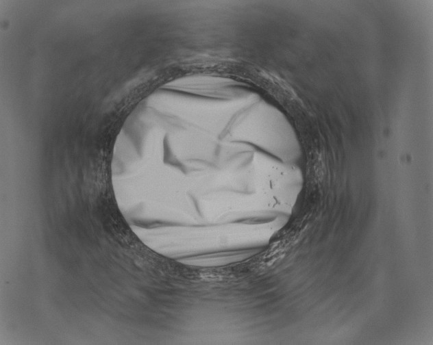 X0000074211350200609151546