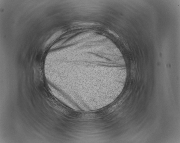 X0000074211354200609151546