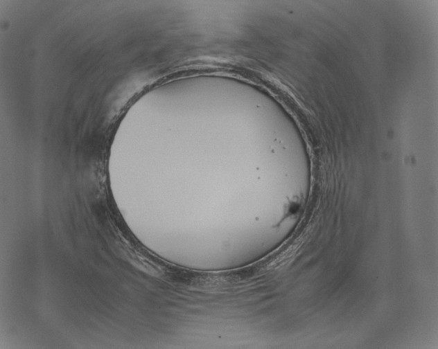 X0000074211355200609151546