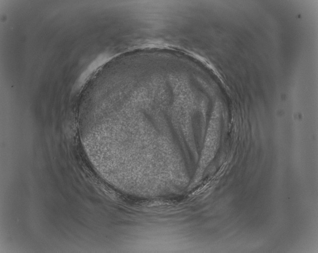 X0000074211359200609151546