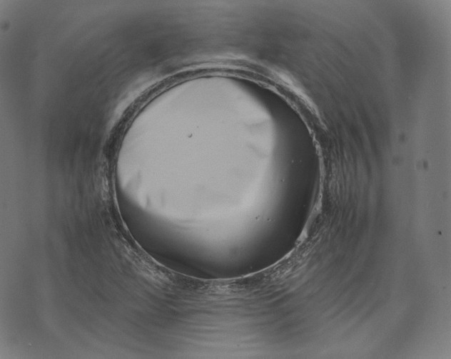 X0000074211360200609151546