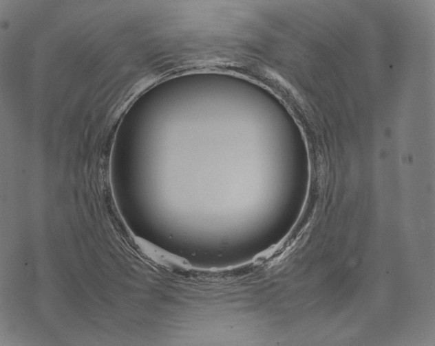 X0000074211361200609151546