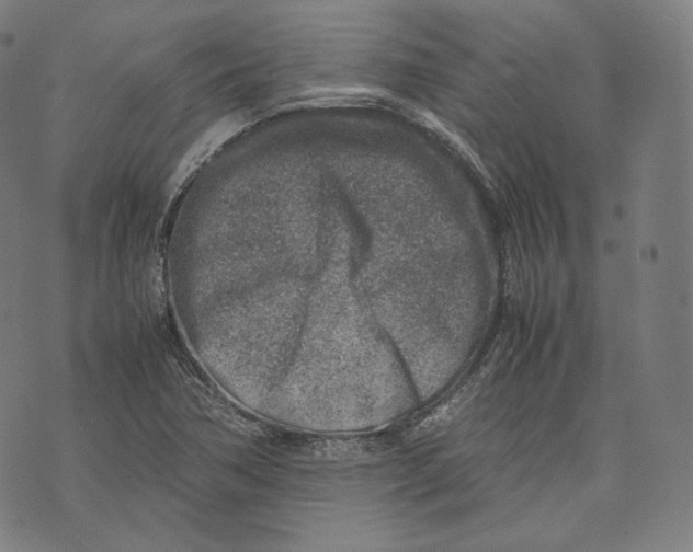 X0000074211362200609151546